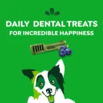 Greenies™ Adult Regular Dog Dental Treats - Natural, Oral Health, Blueberry - Image 6