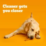 Pedigree® Dentastix Large Breed Adult Dental Dog Treats - Chicken - Image 3