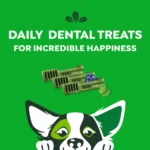 Greenies Petite Natural Adult Dog Dental Treats Variety Pack - Original, Minty & Blueberry - Image 6