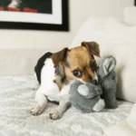 KONG® Kiddos Comfort™ Elephant Dog Toy - Plush, Squeaker - Image 3