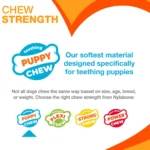 Nylabone® Teething Puppy Chew Freezer Bone Dog Toy - Peanut Butter Flavor - Image 5