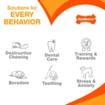 Nylabone® Teething Puppy Chew Freezer Bone Dog Toy - Peanut Butter Flavor - Image 7