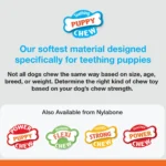 Nylabone® Puppy Teething Keys Chew Dog Toy - Image 2