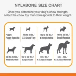 Nylabone® Puppy Teething Keys Chew Dog Toy - Image 4