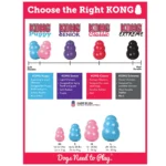 KONG® Puppy Toy - Treat Dispensing (COLOR VARIES) - Image 4