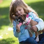 KONG® Puppy Toy - Treat Dispensing (COLOR VARIES) - Image 5