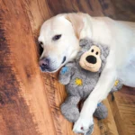KONG® Wild Knots Bear - Image 5