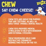 Joyhound® Boss Bones Femur Chew Dog Toy - Image 4