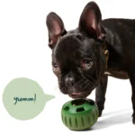 WOOF Pupsicle Refill Pops: Beef Recipe - Image 5