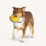 Joyhound® Rip Roarin' Tough Beer Dog Toy - Squeaker - Image 3