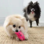 KONG® Snuzzles Pig Squeaker Plush Dog Toy - Image 4
