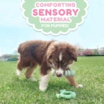 Nylabone® Sensory Material Puppy Teething Ring - Image 3