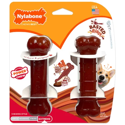 Nylabone® Power Chew Basted Blast Dog Toy - 2 Pack, Bacon & Steak Flavor