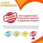 Nylabone® Power Chew Basted Blast Dog Toy - 2 Pack, Bacon & Steak Flavor - Image 5