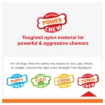 Nylabone® Power Chew Basted Blast Dog Toy - 2 Pack, Bacon & Steak Flavor - Image 8