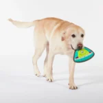 Joyhound® Rip Roarin' Tough Alien Dog Toy - Squeaker - Image 3