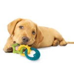 Nylabone® Power Puppy Chew Teething Ring Dog Toy - Bacon Flavor - Image 4