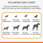 Nylabone® Puppy X Bone Dog Toy - Image 5