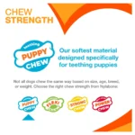 Nylabone® Puppy Chew Dental Dog Bone - Image 4