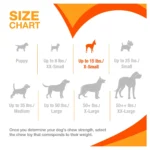 Nylabone® Puppy Chew Dental Dog Bone - Image 5