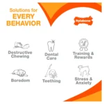 Nylabone® Puppy Chew Dental Dog Bone - Image 6