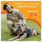 Nylabone® Puppy Chew Dental Dog Bone - Image 7