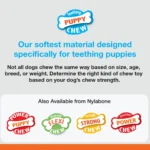 Nylabone® Puppy Starter Kit Chew Dog Toys - 3 Pack - Image 5