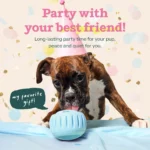 WOOF Birthday Pupsicle Treat Dispensing Dog Toy - Image 3