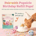 WOOF Birthday Pupsicle Treat Dispensing Dog Toy - Image 5