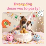 WOOF Birthday Pupsicle Treat Dispensing Dog Toy - Image 7
