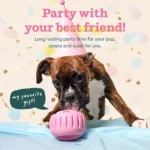 WOOF Birthday Pupsicle Treat Dispensing Dog Toy - Image 3