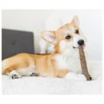 Petstages® Dogwood® Calming Chew - 2 Pack - Image 5