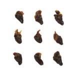Thrills and Chills Chicken Body Parts Coffin 9.2 OZ - Image 5