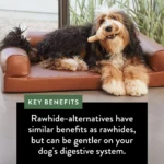 Dentley's Rawhide Free Retriever Rolls 7" Dog Treats - 10 Count - Image 6