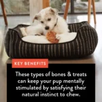 Dentley's® Nature's Chews Full Pig Ear Dog Chew - Image 6