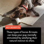 Dentley's® Nature's Chews Large Filled Femur Bone Dog Chew - 2 Count - Image 6
