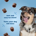 Bil-Jac® PBnanas Peanut Butter & Banana Soft Dog Treat - Image 3