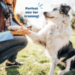 Bil-Jac® PBnanas Peanut Butter & Banana Soft Dog Treat - Image 5