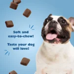 Bil-Jac YappleNanas Soft Dog Treats - Apple & Banana - Image 3