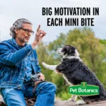 Pet Botanics Training Rewards Dog Treats - Image 6