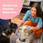 Pupford Freeze-Dried Dog Training Treat - Beef - Image 4