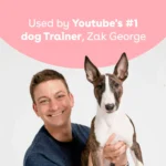 Pupford Freeze-Dried Dog Training Treat - Beef - Image 6