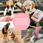 Pupford Freeze-Dried Dog Training Treat - Beef - Image 8