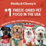 Stella and Chewy's Freeze Dried Dog Treats 3 OZ - Image 2