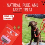 Stella and Chewy's Freeze Dried Dog Treats 3 OZ - Image 4
