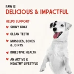 Stella and Chewy's Freeze Dried Dog Treats 3 OZ - Image 5