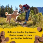 Purina® Zuke's® MINI Naturals All Life Stages Training Dog Treats - Chicken, Soft & Chewy - Image 4