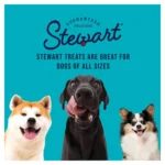 Stewart® Freeze Dried Dog Training Treat - Image 3