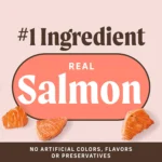 Merrick® Power Bites® Adult Dog Treats - Salmon, Corn Free, Gluten Free - Image 5