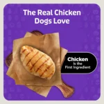 Blue Buffalo Boo Bites Chicken Flavored Dog Treats 4.5 OZ - Image 4